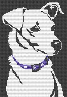 (image for) Best Friend